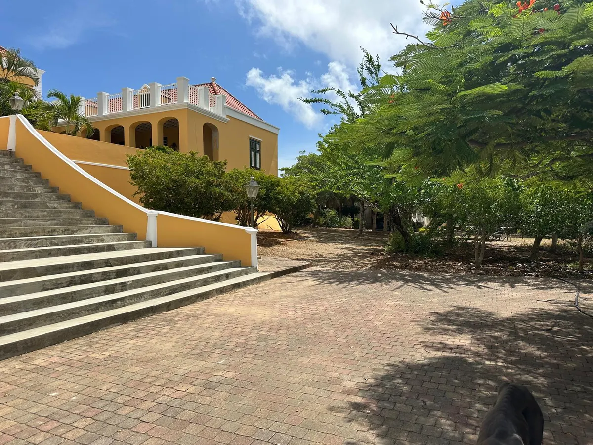 Geel landhuis op Curaçao met een brede trap en groene bomen onder een blauwe lucht.